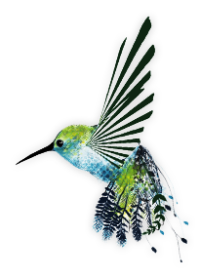 SEN5 Technology Co, Ltd